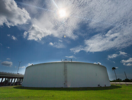No immediate plans here to stop adding fluoride to city or county drinking water
