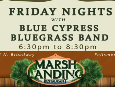 Blue Cypress Bluegrass  Marsh Landing