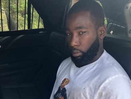 Video: Wanted man found hiding in shed in south county