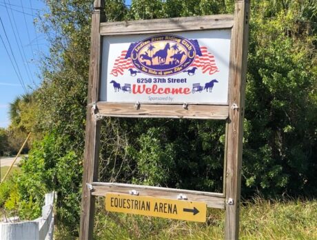 Man hit head on tree after falling off horse, witnesses say