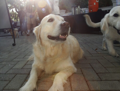 Bonz and buds have the best time at ‘Sea Oaks’