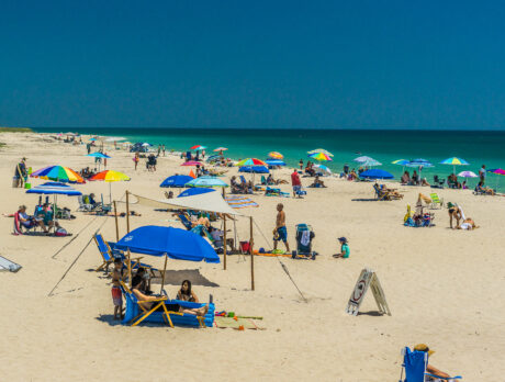 Rip current rescues, boardwalk and bathroom renovations noted in VBLA report
