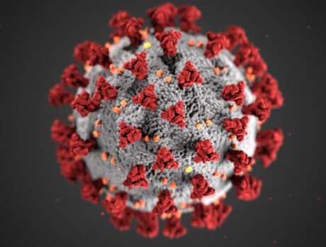 Coronavirus in IRC – July 10 – July 16, 2020