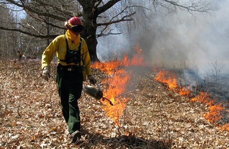 Motorists may see smoke from prescribed burn at state park