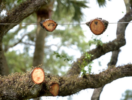 Riomar residents say FPL ‘mangling’ live oaks