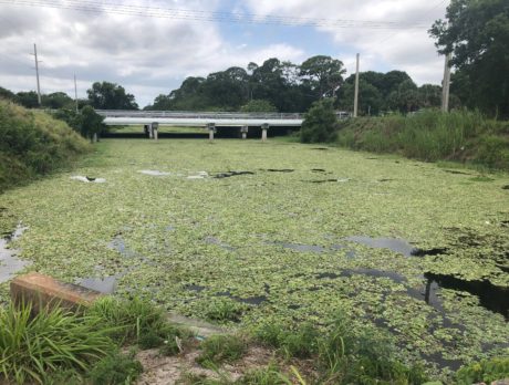 Deputies ID man who drowned in canal