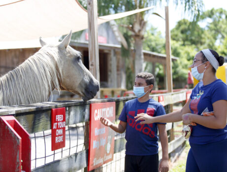 Feeding-frenzy fun at LaPorte Farms’ Back to School day