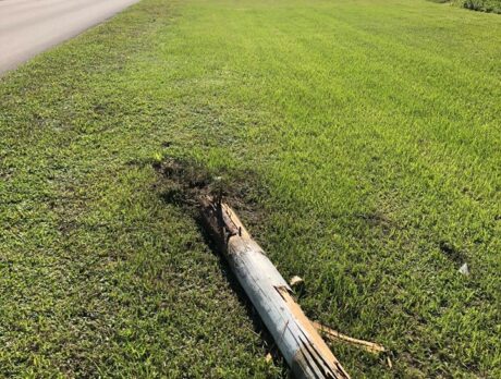 Police search for motorist who crashed into light pole