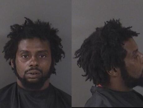 Man charged after six dogs found malnourished