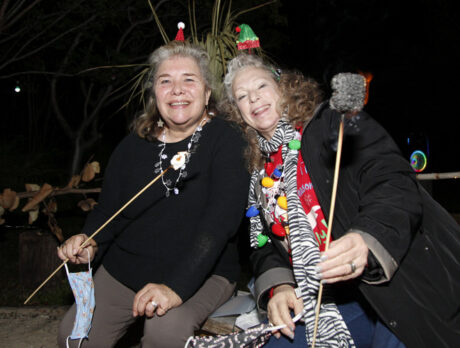 Wintergreen Night Lights: S’more holiday fun at ELC