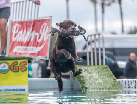 ‘Bark in the Park’ canceled amid COVID-19 concerns
