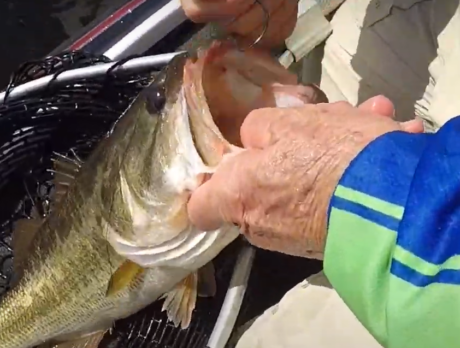New fish hook regulations on our coast in the new year