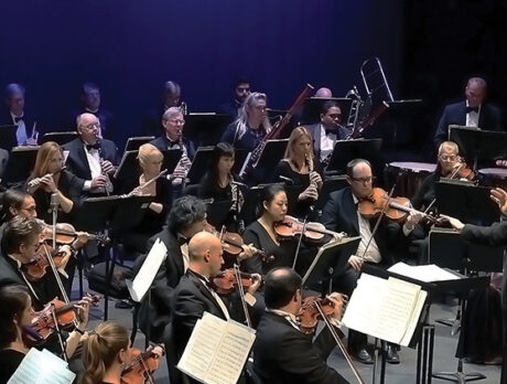 Chamber Series allows ACO to make its presence felt