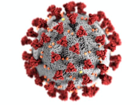 Coronavirus in IRC, May 23 update