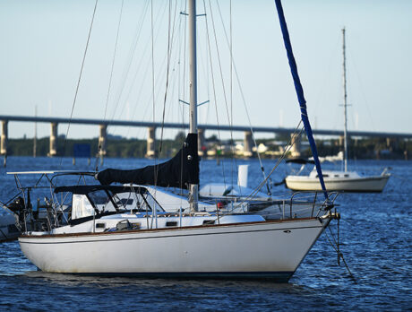City seeks to increase use of marina by transient boaters