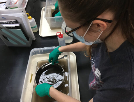High school students ‘become experts in pollution mapping’ in new internship program