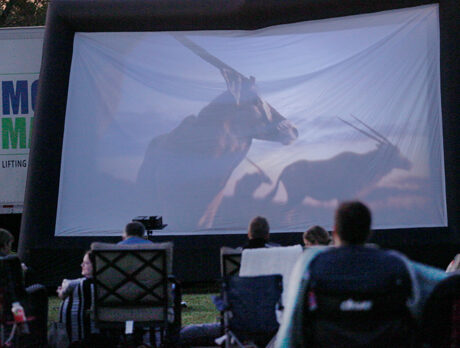 Films in the Field: Reconnecting, and it feels so good
