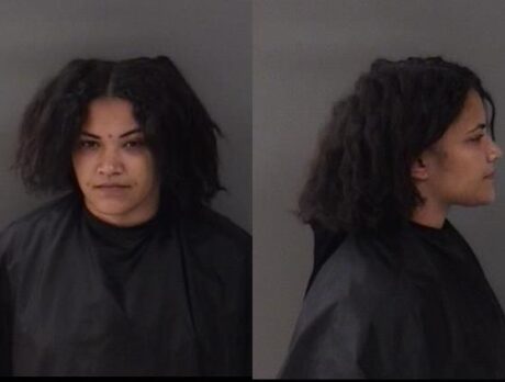 6 dogs found without food, water; woman charged