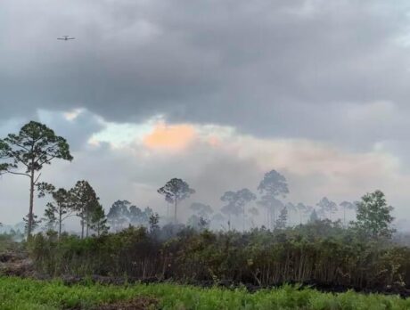 Fire crews continue to battle large wildfire at state park