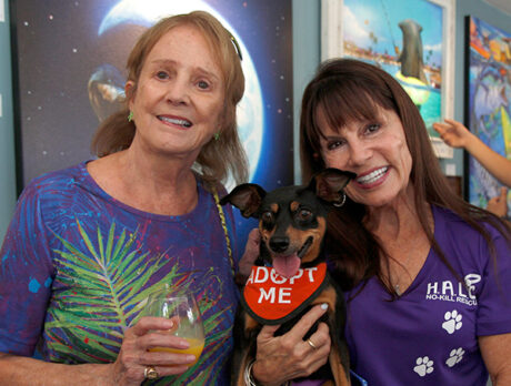 Artistic animals help make H.A.L.O.’s mission paw-sible