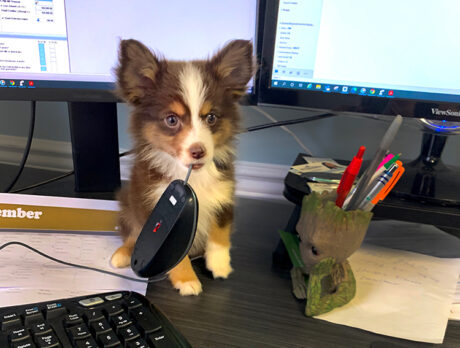 Bonz says, ‘Whoa, was it fun getting to know Bo!’