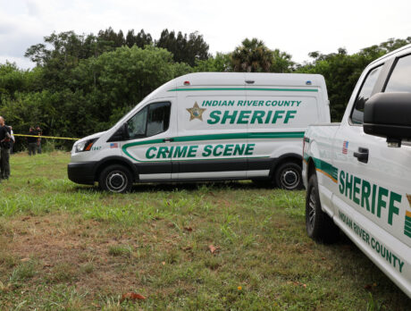 Deputies discover body in canal near 41st Street