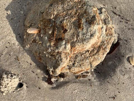 Patrick Space Force Base removes munitions from South Beach Park area