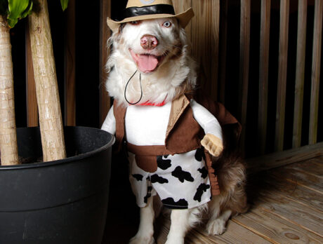Bonzo’s placid pal Parker is one cool customer
