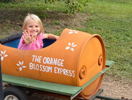 Coming Up! Maze craze just part of Country Side fall fest fun