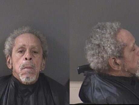 Deputies: Man jailed after shooting racoon with BB gun ‘for fun’