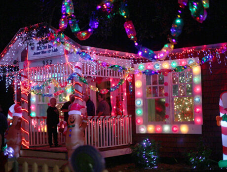 Sebastian goes about its very merry way on ‘Light Up Night’