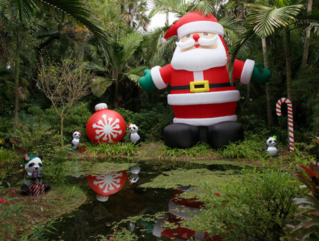 Coming Up! Wonders never cease at McKee’s Festival of Lights