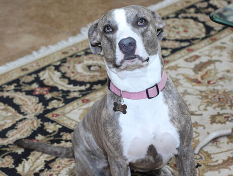 Bonz says exuberant Elke finally has a loving home