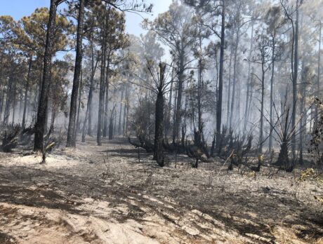 7-acre brush fire in West Vero Corridor fully contained