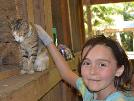 Cuddly critters charm kids at LaPorte ‘Back to School’ event