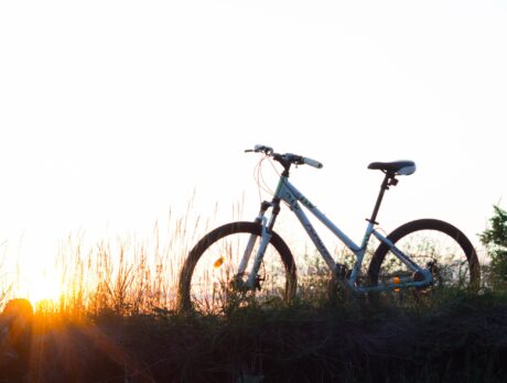No jail time for driver of car that killed bicyclist