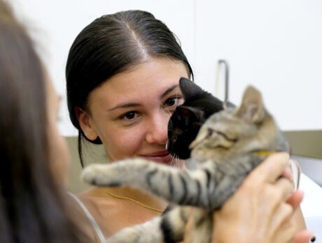 One ‘fur’ all at Humane Society’s ‘Clear the Shelters Day’