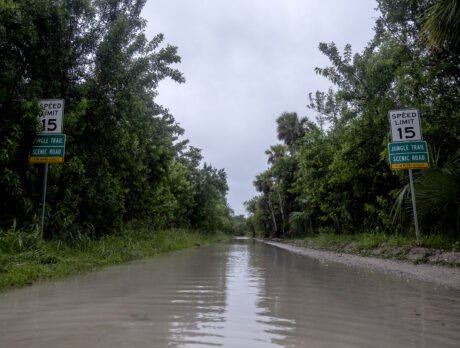 Local schools to remain closed Friday in wake of Ian
