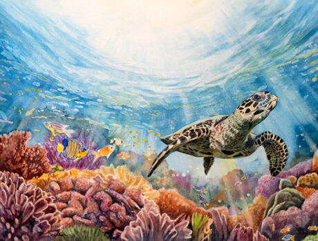 Artistic paradise found at Indian River Bird and Nature Show