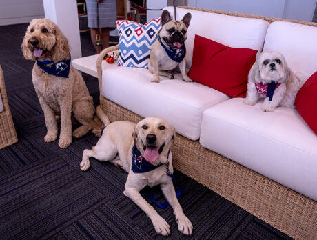 Bonzo gets his fill of fun with Frank and friends