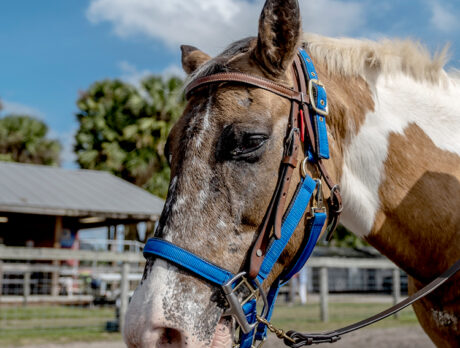 Horsing around with this special bunch was inspiring