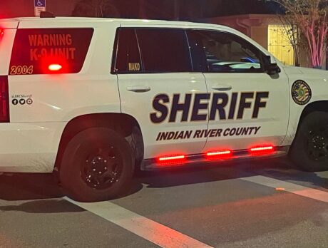3 Fort Lauderdale men in stolen car detained after fleeing from officers