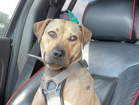 It’s (now) a wonderful life for Kya, and she deserves it