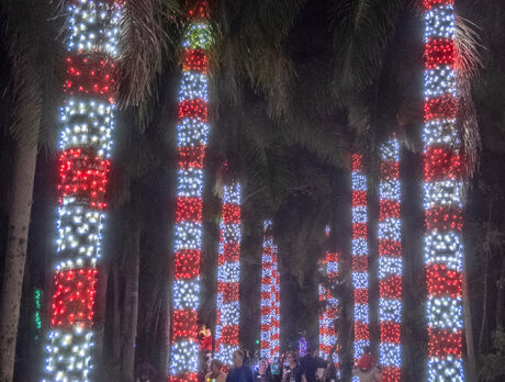 Santa looms large at McKee’s merry Festival of Lights