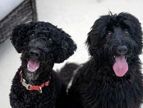 Color Bonz amused by best-bud bros Bodhi and Vero
