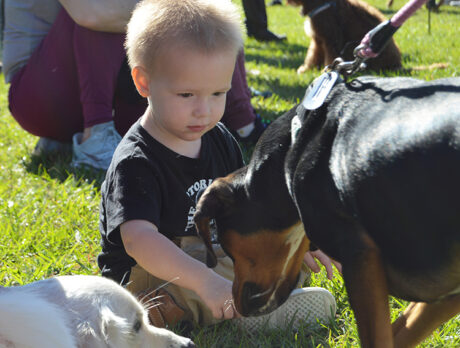 Back by pup-ular demand …  Humane Society’s ‘Bark in Park’!
