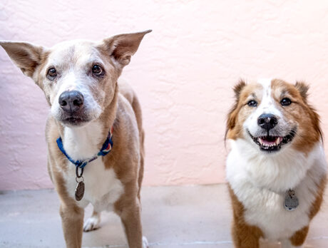 Bonz has a blast with new ‘old’ pals Jumbie and Duncan