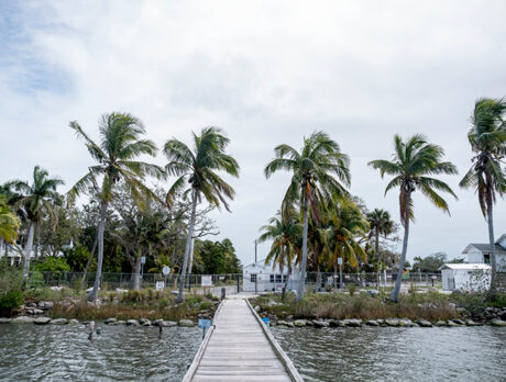 Renewed and improved Jones Pier area set to welcome visitors in May
