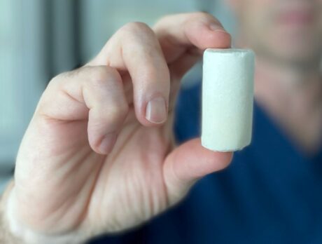 New ACL repair technique harnesses body’s own healing abilities