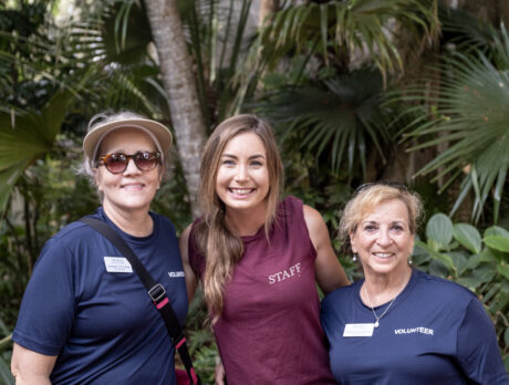 ‘Wow’ factor off the charts: McKee’s Waterlily Celebration
